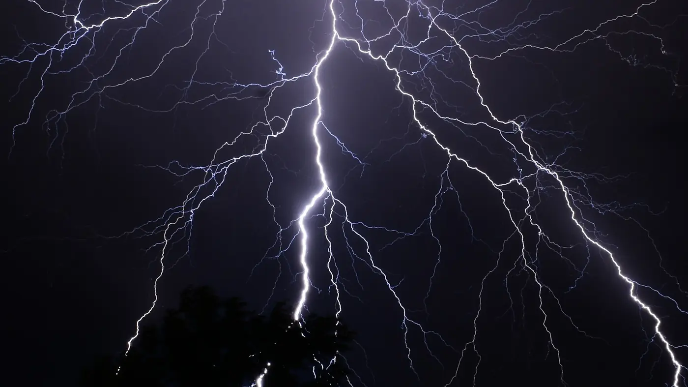 Lightning branching across a night sky above a dark line of trees